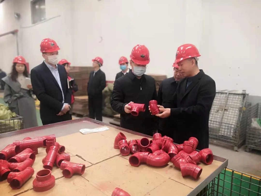 市区领导莅临我司调研指导工作